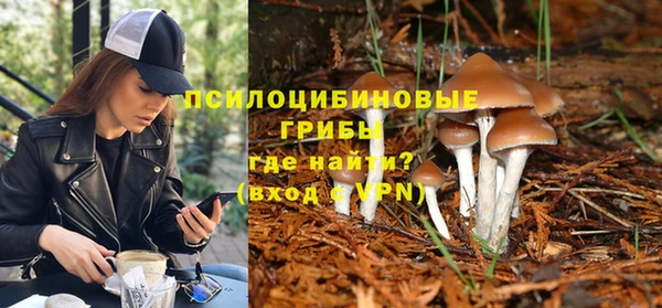 эйфоретик Нягань