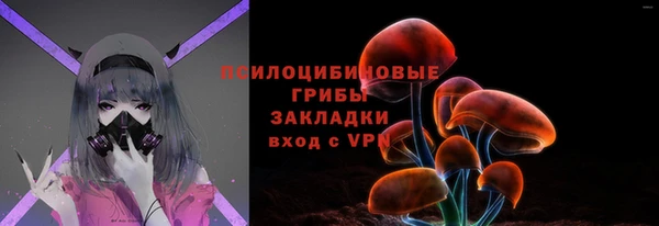 PSILOCYBIN Горняк