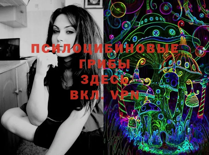 Псилоцибиновые грибы Magic Shrooms  hydra ссылки  Катав-Ивановск 